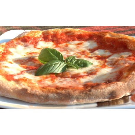www.ristorantispecialitapizza.it