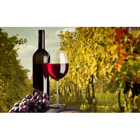 www.viticoltoriitaliani.it