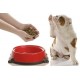 Animal Food Test - Kit per il Test delle intolleranze alimentari degli animali domestici