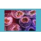 prodotti cellule staminali umane