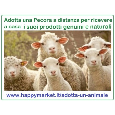 Fattorie che offrono le Pecore in adozione